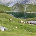 am Ramsgrubner See