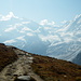 Monte Rosa Massiv in der Morgensonne