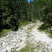 Nach dem Abstieg vom Hirschberg kommt man nach einer weglosen Strecke zu diesem Wanderweg und endlich mal an einem Bach vorbei, endlich Wasser 