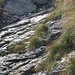 il recente smontamento: a monte vi passa il sentiero