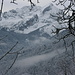 Blick zur Alpspitze
