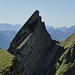 Der Zehenspitz, ebenfalls ein einsamer, kaum begangener Alpsteingipfel. Gut sichtbar der Gipfelsteinmann, ein Werk von [u Maveric] und [u Delta]. 