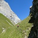 Kurzer Aufstieg zum Sattel, von wo der Abstieg und die Traversierung zur Chreialp erfolgt.