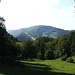 Sur la paturage près Delémont