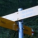 Si percorre per 5min il sentiero per la Quarnei per poi deviare a sinistra in direzione Alpe di Sceru