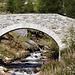 ponte sullo Scalcoggia...