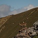 Steinbock