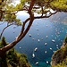 Capri, vom Geld umzingelt und belagert