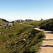 Nach 25 Minuten Gehzeit ist die überfüllte Steinlingalm (1467m) erreicht