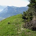 Rückblick über den Gipfel des Guschner Gir zum Gonzen