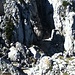 Die Schlucht von oben gesehen