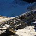 Ganz schön steil saust die Nordostflanke 600m hinunter auf den Bisgletscher. Sich hier sicher bewegen zu dürfen, macht einfach nur Freude!