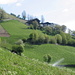 Blumenwiesen und Bergbauernhof oberhalb Martell Dorf