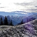 Frühherbst - mit Wintereinlage;
Vorder- und Hintergrund kontrastieren gut; die Spannorte und Titlis runden das Bild alpin ab