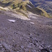 Lattenhorn 2858m: pietraia NE  e sullo sfondo l'Alpetlistock