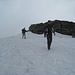 Schneefelder