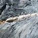 Das schmale Kontaktband der Glarner Hauptüberschiebung. Das obenliegende Gestein ist 200 Millionen Jahre (oder so) älter als das Gestein unterhalb des Bandes.