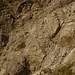 Alpine Kraxelleien auf dem Haasweg, auf etwa 2400m, in der Südwand der Vorderseespitze (2889m).