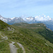 Berner Alpen mit unterem Nanztal und Suone