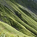 Typische grünes Steilgras beim Aufstieg zum Älpelesattel