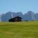 Die Drusenfluh wird sichtbar - Ausblick vom Stelserberg