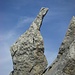 Ein schön geformter Fels am Grat. Vorschläge, was man da sieht?
