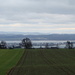 Grüner Teppich - Blick auf die Insel Reichenau, den Bodanrück und den Linzgau
