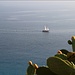 Segelboot auf dem Tyrrhenischen Meer