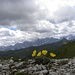 Letzter Blick zum Sextner Dolomiten.