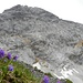 am Fuße der mächtigen und wunderschönen Felsmauer der Königswand (2686m).