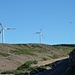 Grosser Windpark auf Paul da Serra. Hier reklamiert niemand wegen den Windrädern