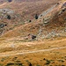 Nella valle della Gana Rossa, sul lato opposto l' Alpe di Vignum, che si raggiunge con un lungo tratto in piano