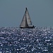 Freiheit...segeln auf dem offenen Meer...wer`s mag....<br /><br />La libertà...in barca a vela sul mare largo...a chi lo piace....
