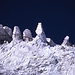 Seracs zwischen Ortler und Monte Zebrú.