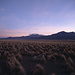 Sonnenuntergang auf dem Altiplano.