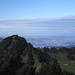 Blick über den Tüfentaler Berg zum Oberen Zürichsee