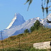 Etwas weiter oben gibt es dann freien Blick aufs Matterhorn