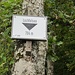 Am Lochfelsen ( 784m )...