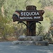 Eingang zum Sequoia NP ist nicht zu verfehlen