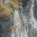 Einer stürtzt sich gerade wagemutig den Felsen hinunter (unterhalb vom Hinderrugg). Auf dem Bild wegen der Entfernung nicht einfach zu sehen.<br />Hier ein [http://www.youtube.com/watch?v=sgKiAooWfsU Youtube] dazu.