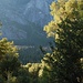 Morgenstimmung im Yosemite Valley - Blick zurück