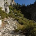 ab hier führen steile und kurvenreiche Serpentinen über den Upper Yosemite Fall