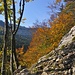 der Herbst ist definitiv da