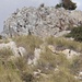 Ungewöhnliche Begegnung an der Costa del Sol: Steinböcke (cabras montéses)