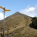 <b>Bassa di Indemini (1723 m). <br />Mi trovo ora su un tratto del frequentatissimo crinale della traversata Tamaro – Lema. <br />Dal silenzio della Valle Cusella passo ai ciarlieri crocchi di escursionisti e ai ciclisti muniti di rampichini dell’ultima generazione. Devo commutarmi sullo Schwitzerdütsch e il francese. È un continuo ripetersi di “Grüezi!”, di “Bonjour” e di domande del tipo “arriverò al Lema entro le 16:30?”.</b>