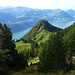 ... und auf Alp Zilistock.