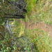 Nach der Kraxelei steht man unvermittelt wieder im (flachen) Wald. (Keine Ahnung, warum das Bild gedreht ist... werd's später mal anschauen.)