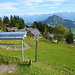 Rigi Scheidegg, das Ende der heutigen Tour.