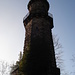 Turm auf dem Pfaffenstein