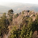 Blick vom Turm auf die Kletterfelsen des Elbsandsteingebirges